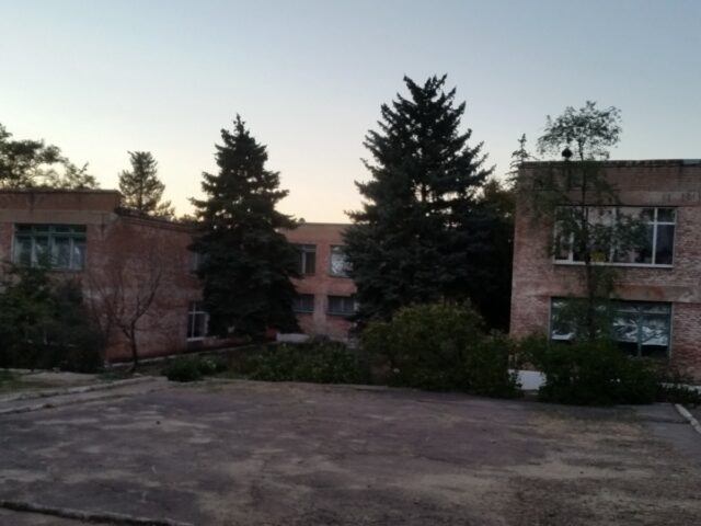 Берёзка